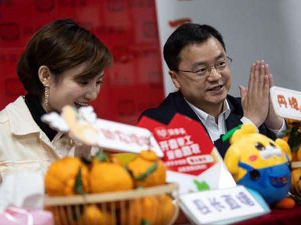 案例展示
