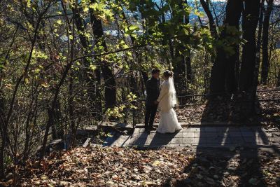 上海婚纱摄影展 上海婚纱摄影展