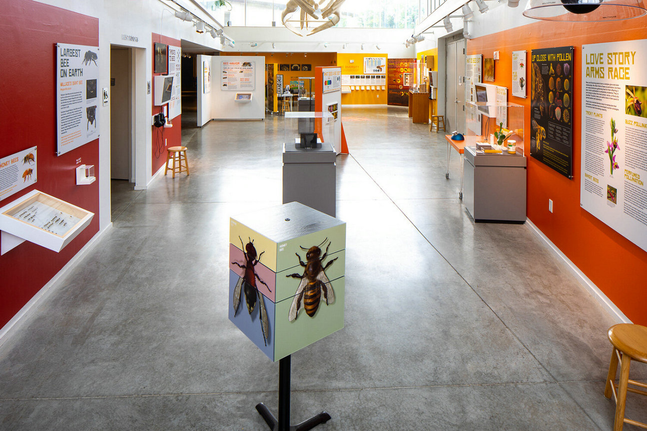 1725434135549904.jpg BeeExhibit.jpg