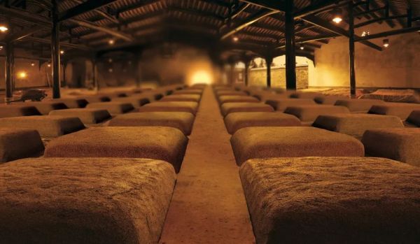 100.jpg 成都酒展厅设计方案